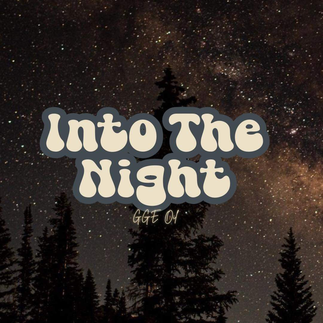 Fragrance Oil - Into The Night