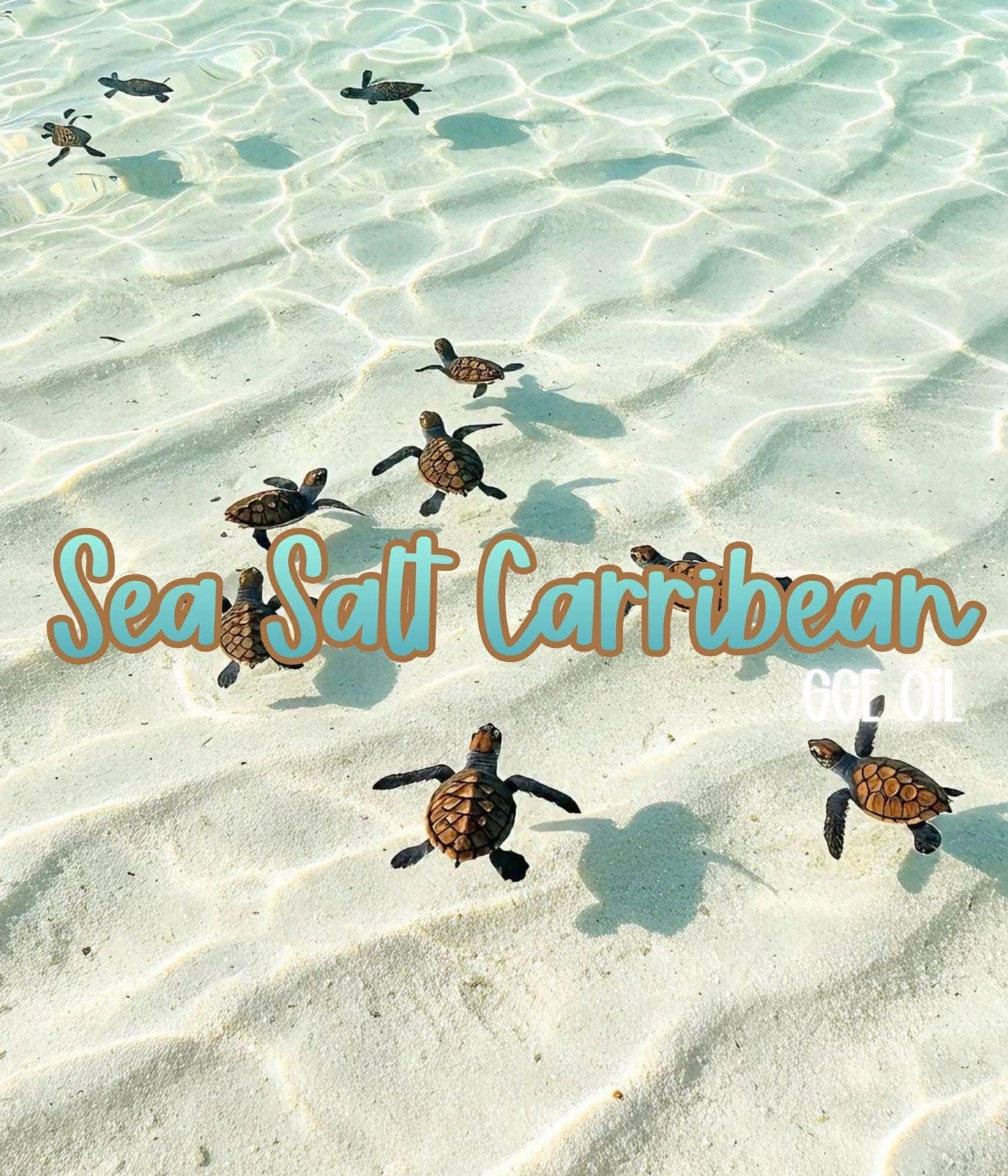 Fragrance Oil - Sea Salt Carribean (type) - Inspired by: BBW