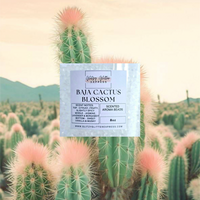 Pre Scented Beads: Baja Cactus Blossom