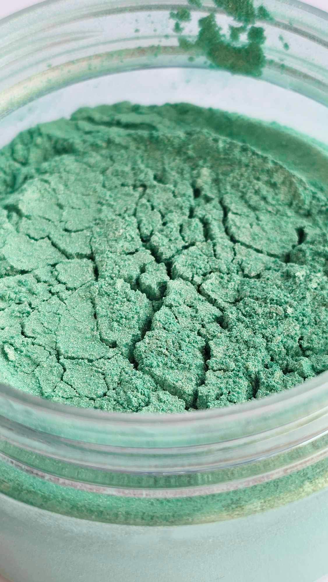 PEARL MICA 1OZ: What The Succulent