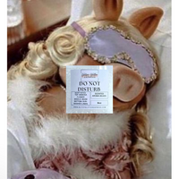Pre Scented Beads: Do Not Disturb
