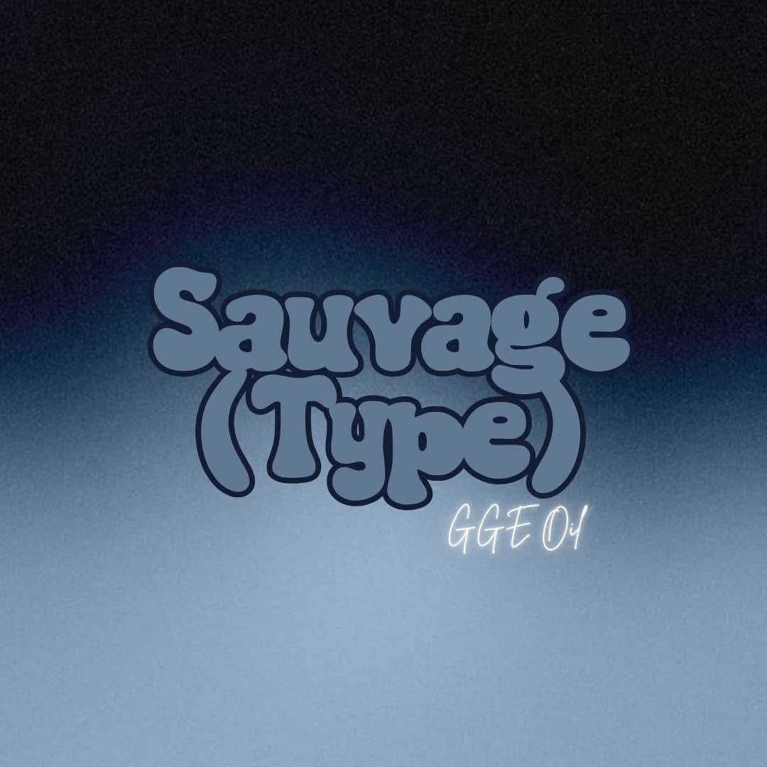 Luxury Fragrance Oil - Sauvage (type)