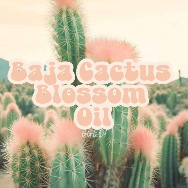 Fragrance Oil - Baja Cactus Blossom