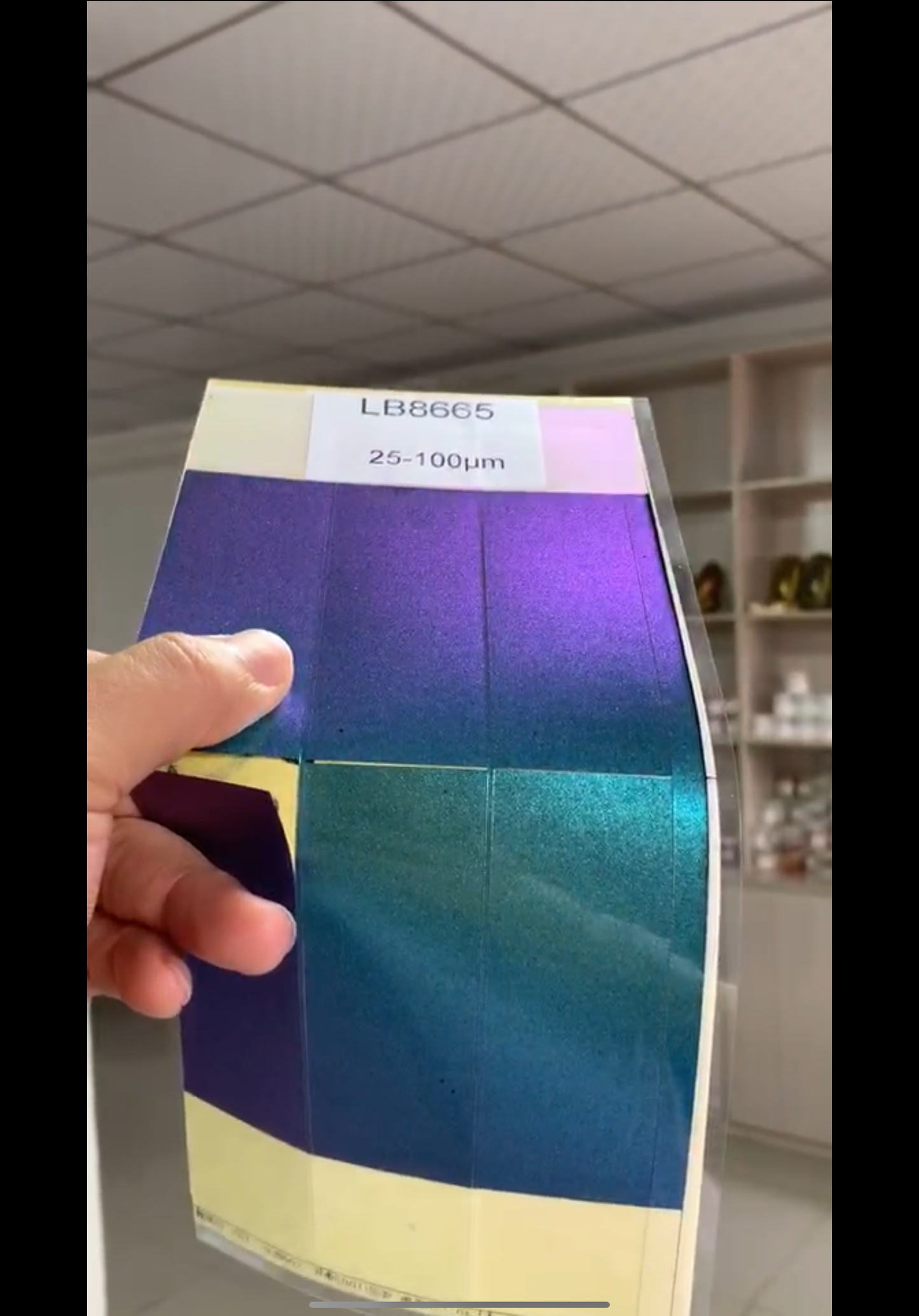 NEW Chameleon Pigments 5g - White Base