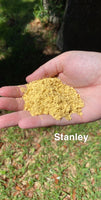 Man Glitter: Stanley