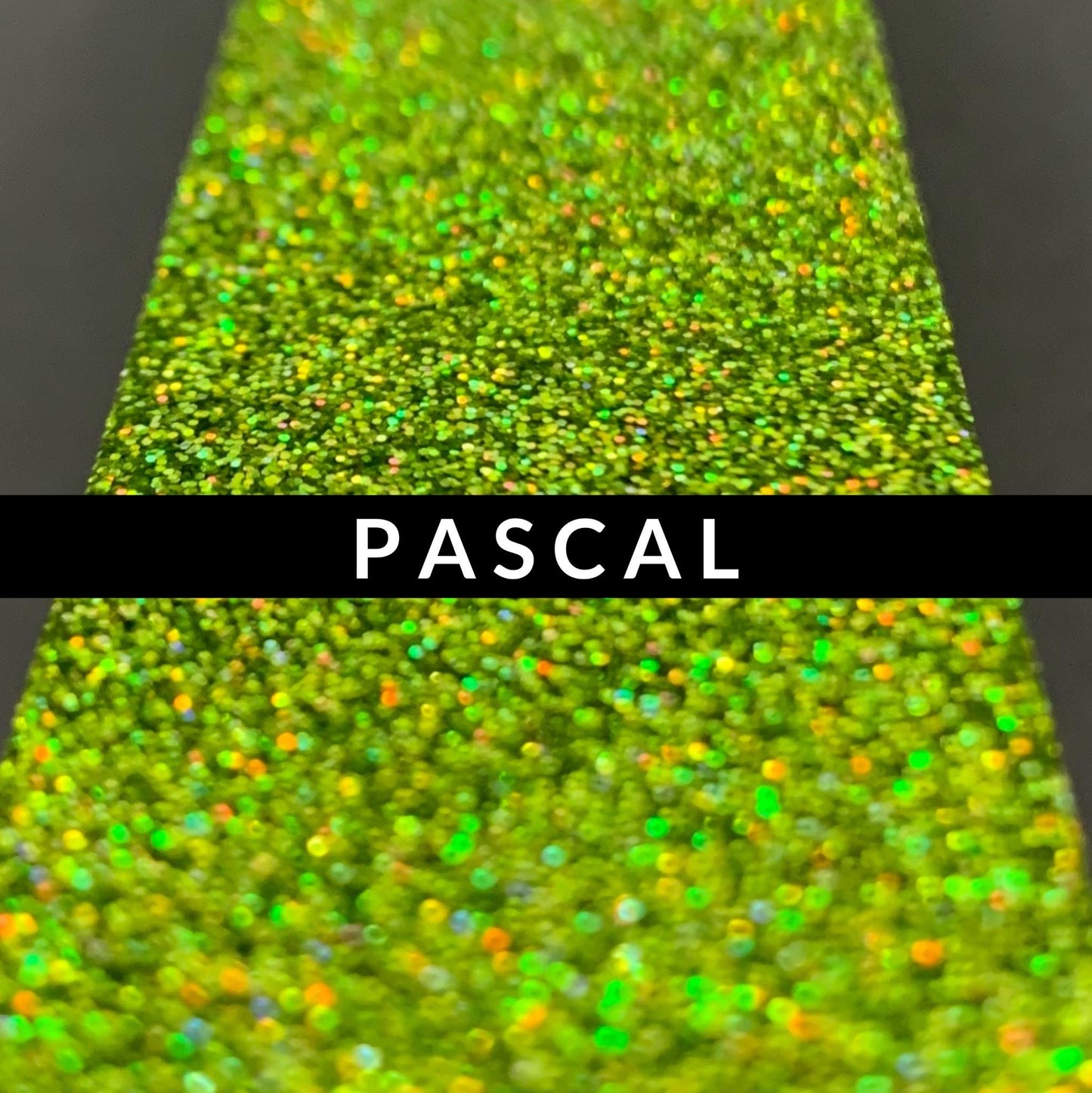 Fine Holographic: Pascal