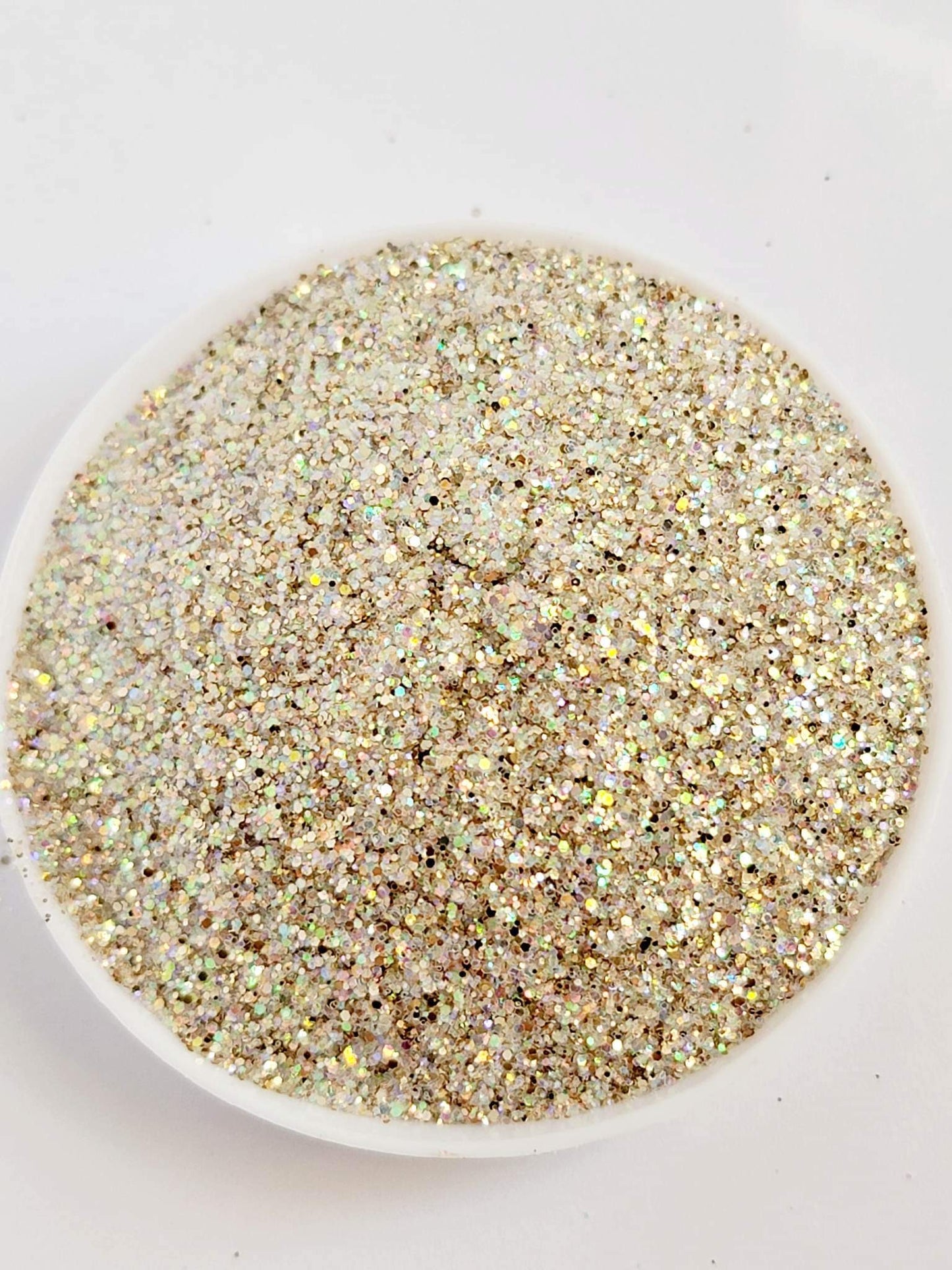 Fine Iridescent: Sand Dollar
