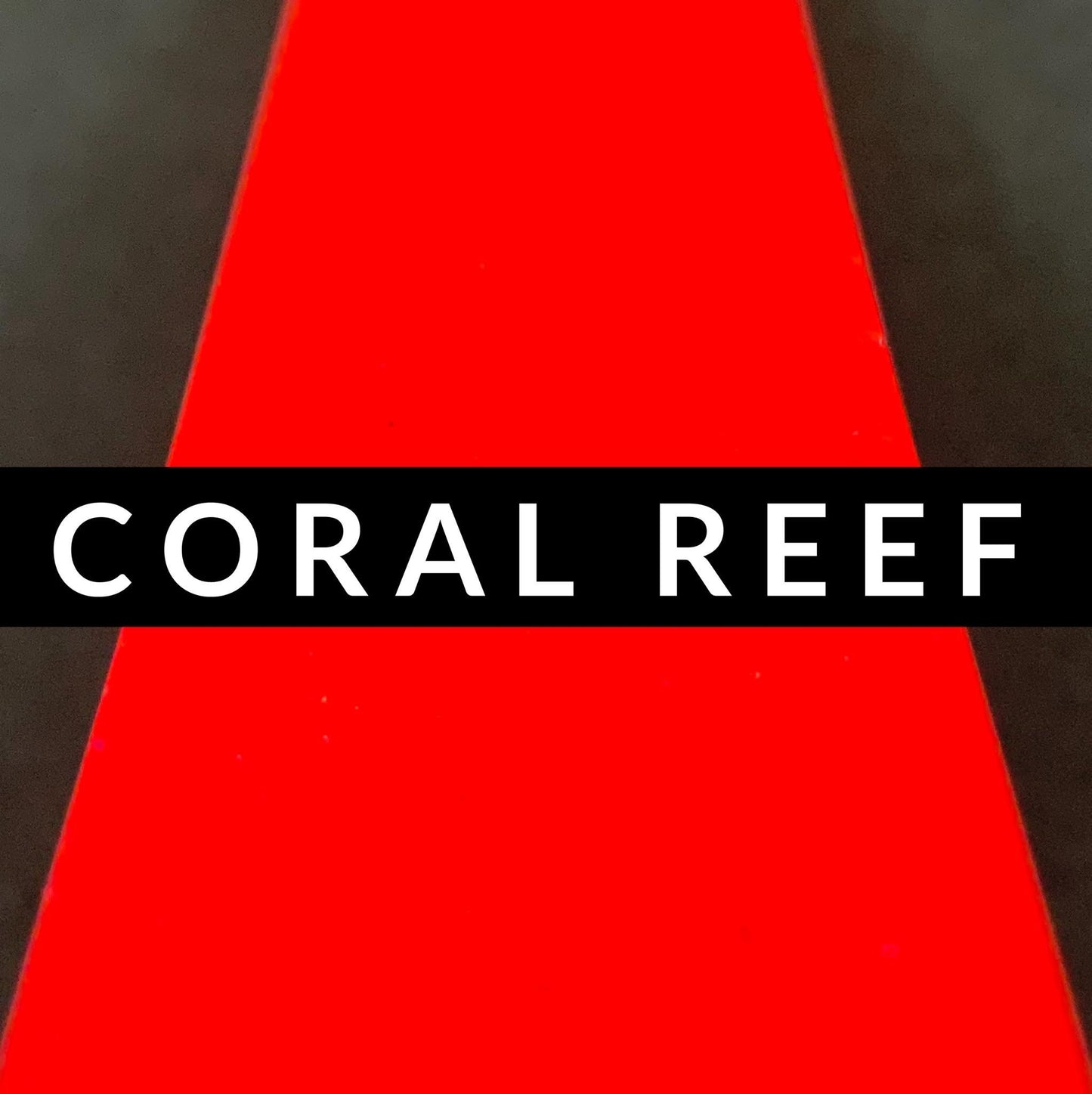 Fine Fluorescent: Coral Reef